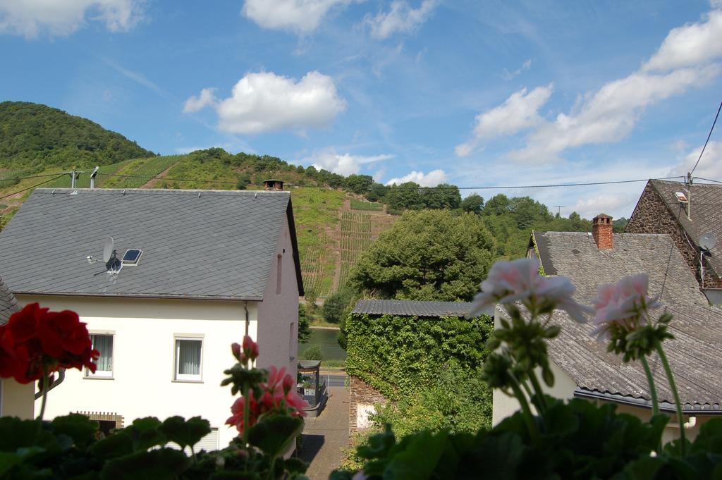 Ferienhaus Mosel Bub Брутиг-Фанкел Стая снимка